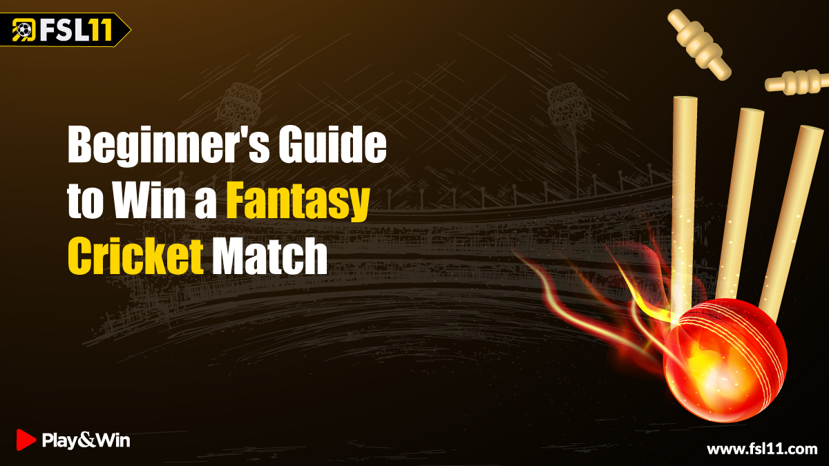 Beginners Guide to Win Fantasy Cricket Match