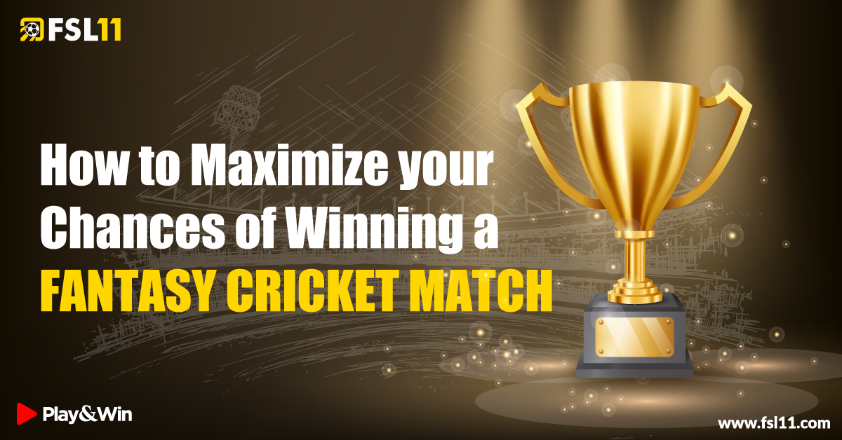How to Maximize your Chances of Winning a Fantasy Cricket Match