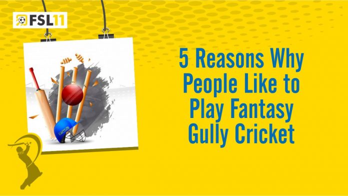 5 Reasons Why People Like to Play Fantasy Gully Cricket