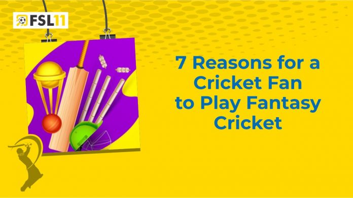 7 Reasons for a Cricket Fan to Play Fantasy Cricket